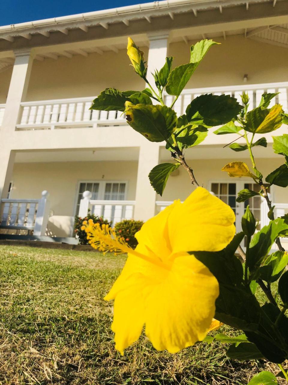 Rosewood Apartment Hotel Arnos Vale ภายนอก รูปภาพ